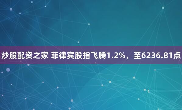 炒股配资之家 菲律宾股指飞腾1.2%，至6236.81点