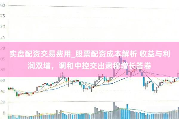 实盘配资交易费用_股票配资成本解析 收益与利润双增，调和中控交出肃穆增长答卷