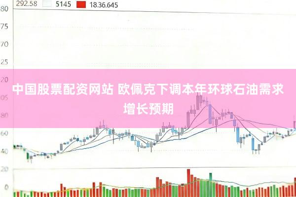 中国股票配资网站 欧佩克下调本年环球石油需求增长预期