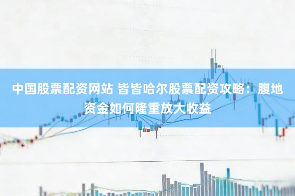 中国股票配资网站 皆皆哈尔股票配资攻略：腹地资金如何隆重放大收益