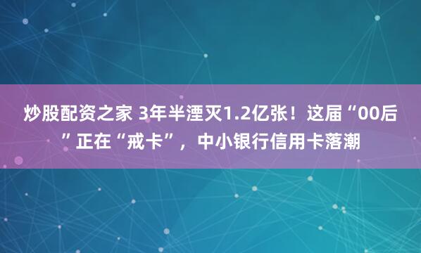 炒股配资之家 3年半湮灭1.2亿张！这届“00后”正在“戒卡”，中小银行信用卡落潮